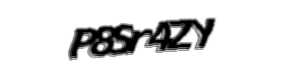 Security check image, please type the characters shown